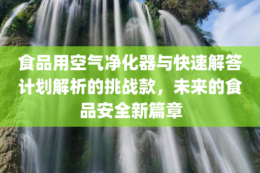 食品用空气净化器与快速解答计划解析的挑战款，未来的食品安全新篇章