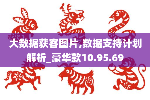 大数据获客图片,数据支持计划解析_豪华款10.95.69