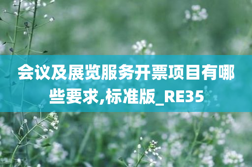 会议及展览服务开票项目有哪些要求,标准版_RE35