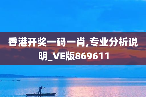 香港开奖一码一肖,专业分析说明_VE版869611