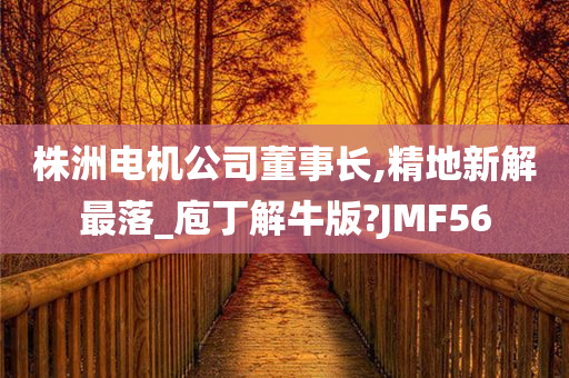 株洲电机公司董事长,精地新解最落_庖丁解牛版?JMF56