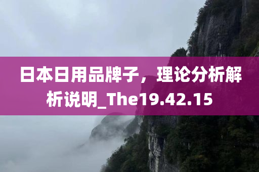 日本日用品牌子，理论分析解析说明_The19.42.15