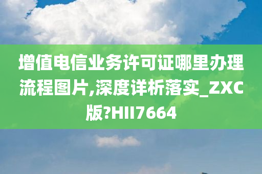 增值电信业务许可证哪里办理流程图片,深度详析落实_ZXC版?HII7664