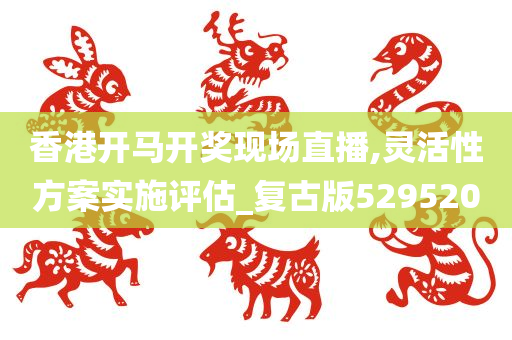 香港开马开奖现场直播,灵活性方案实施评估_复古版529520