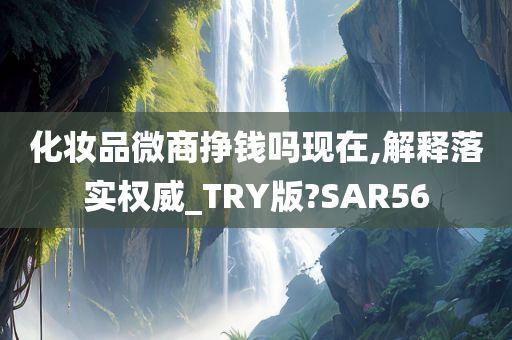 化妆品微商挣钱吗现在,解释落实权威_TRY版?SAR56