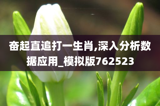 奋起直追打一生肖,深入分析数据应用_模拟版762523