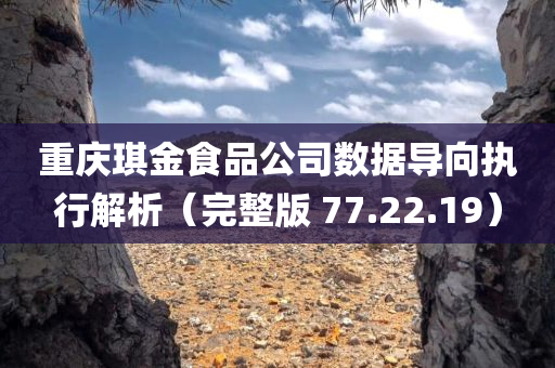 重庆琪金食品公司数据导向执行解析（完整版 77.22.19）