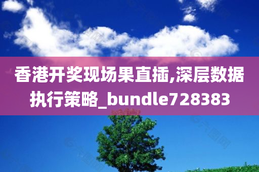 香港开奖现场果直插,深层数据执行策略_bundle728383