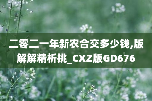 二零二一年新农合交多少钱,版解解精析挑_CXZ版GD676