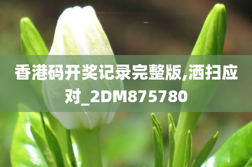 香港码开奖记录完整版,洒扫应对_2DM875780