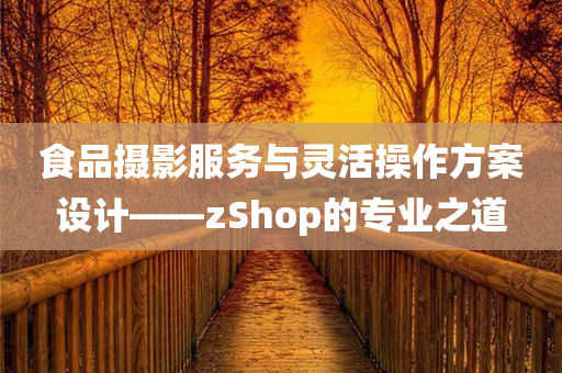 食品摄影服务与灵活操作方案设计——zShop的专业之道