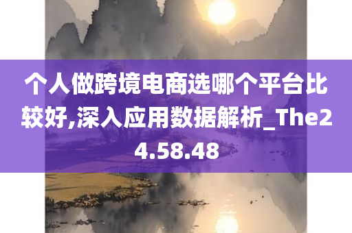 个人做跨境电商选哪个平台比较好,深入应用数据解析_The24.58.48