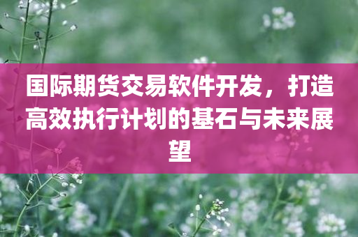 国际期货交易软件开发，打造高效执行计划的基石与未来展望