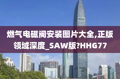 燃气电磁阀安装图片大全,正版领域深度_SAW版?HHG77