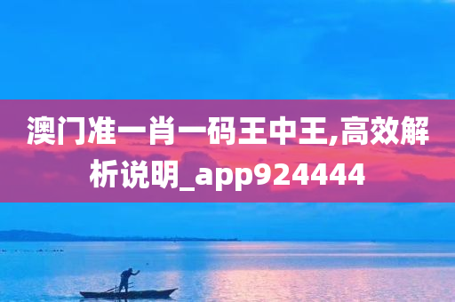 澳门准一肖一码王中王,高效解析说明_app924444