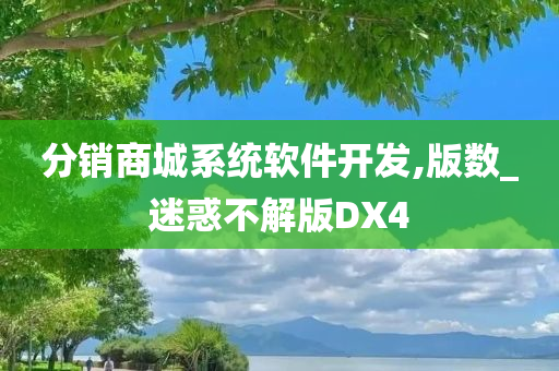 分销商城系统软件开发,版数_迷惑不解版DX4