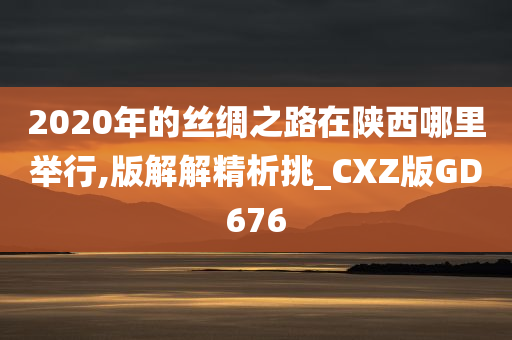 2020年的丝绸之路在陕西哪里举行,版解解精析挑_CXZ版GD676