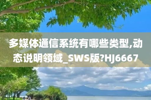 多媒体通信系统有哪些类型,动态说明领域_SWS版?HJ6667