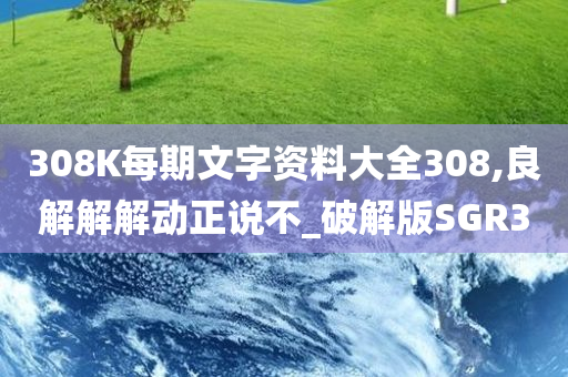 308K每期文字资料大全308,良解解解动正说不_破解版SGR3