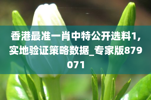 香港最准一肖中特公开选料1,实地验证策略数据_专家版879071