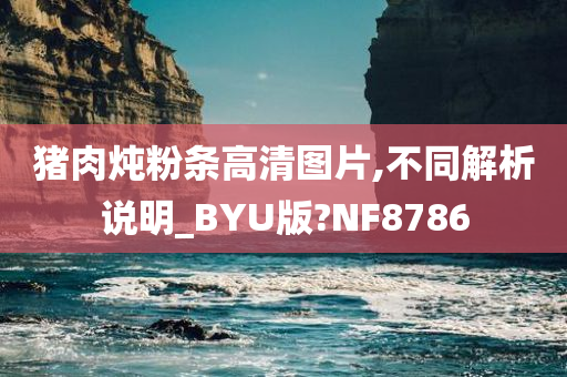 猪肉炖粉条高清图片,不同解析说明_BYU版?NF8786