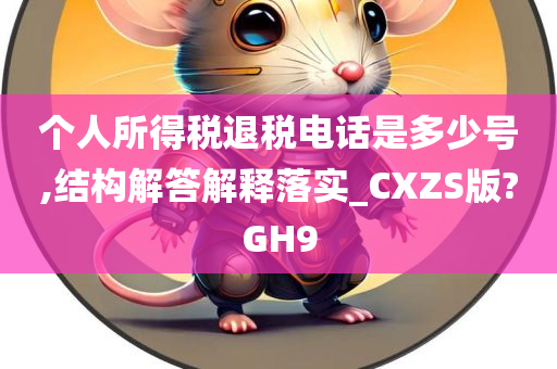 个人所得税退税电话是多少号,结构解答解释落实_CXZS版?GH9