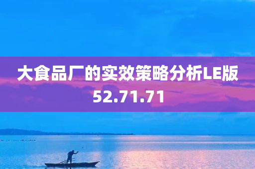 大食品厂的实效策略分析LE版52.71.71