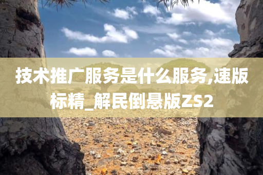 技术推广服务是什么服务,速版标精_解民倒悬版ZS2