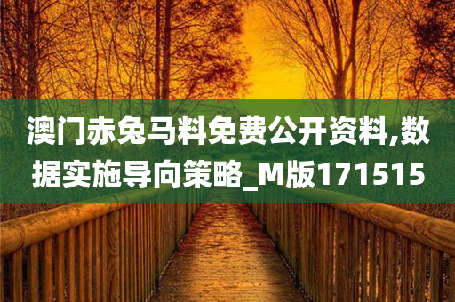 澳门赤兔马料免费公开资料,数据实施导向策略_M版171515