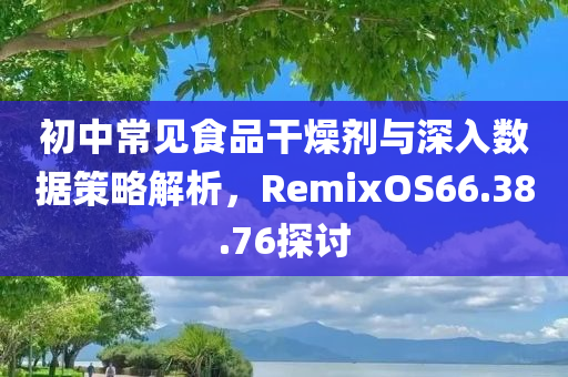 初中常见食品干燥剂与深入数据策略解析，RemixOS66.38.76探讨