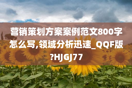 营销策划方案案例范文800字怎么写,领域分析迅速_QQF版?HJGJ77