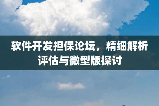 软件开发担保论坛，精细解析评估与微型版探讨