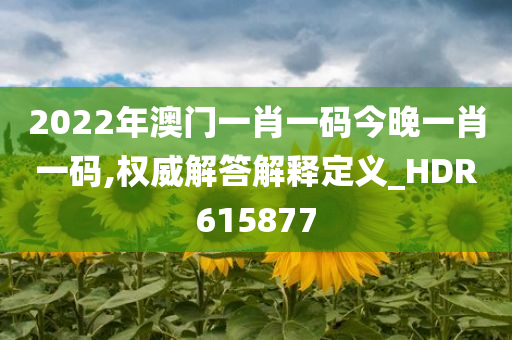 2022年澳门一肖一码今晚一肖一码,权威解答解释定义_HDR615877