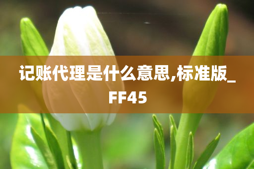 记账代理是什么意思,标准版_FF45