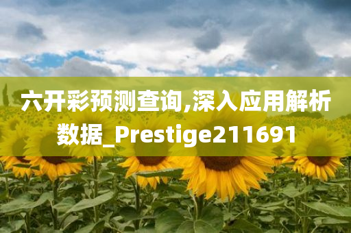 六开彩预测查询,深入应用解析数据_Prestige211691