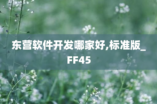 东营软件开发哪家好,标准版_FF45