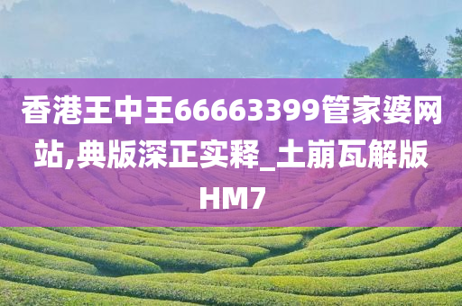 香港王中王66663399管家婆网站,典版深正实释_土崩瓦解版HM7