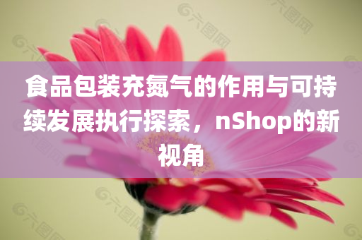 食品包装充氮气的作用与可持续发展执行探索，nShop的新视角