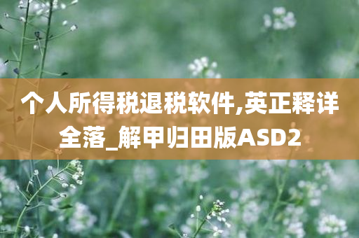 个人所得税退税软件,英正释详全落_解甲归田版ASD2