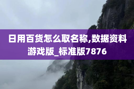 日用百货怎么取名称,数据资料游戏版_标准版7876