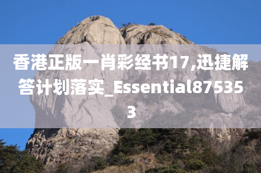 香港正版一肖彩经书17,迅捷解答计划落实_Essential875353