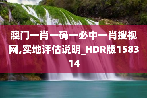 澳门一肖一码一必中一肖搜视网,实地评估说明_HDR版158314