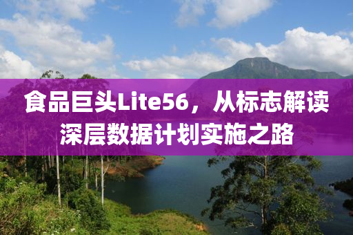 食品巨头Lite56，从标志解读深层数据计划实施之路