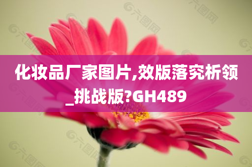 化妆品厂家图片,效版落究析领_挑战版?GH489