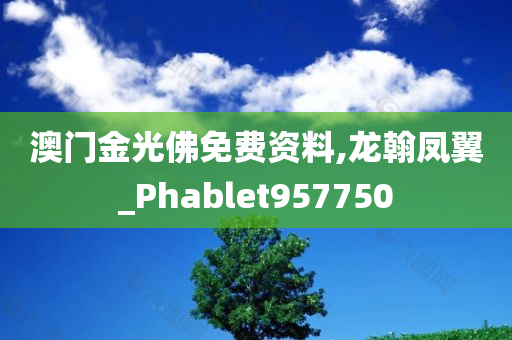 澳门金光佛免费资料,龙翰凤翼_Phablet957750