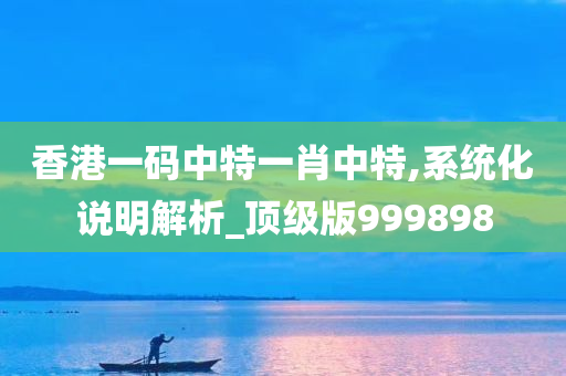 香港一码中特一肖中特,系统化说明解析_顶级版999898