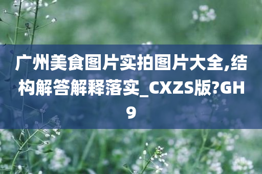 广州美食图片实拍图片大全,结构解答解释落实_CXZS版?GH9