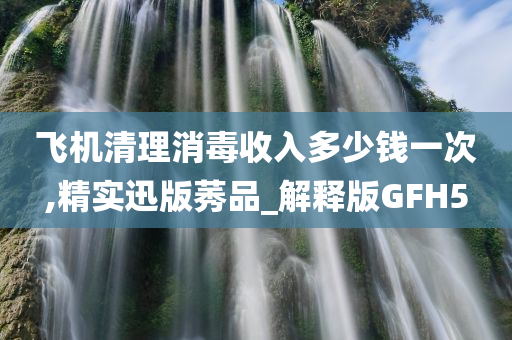 飞机清理消毒收入多少钱一次,精实迅版莠品_解释版GFH5