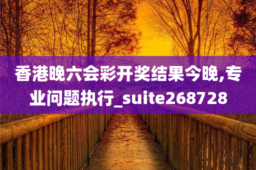 香港晚六会彩开奖结果今晚,专业问题执行_suite268728