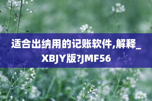 适合出纳用的记账软件,解释_XBJY版?JMF56